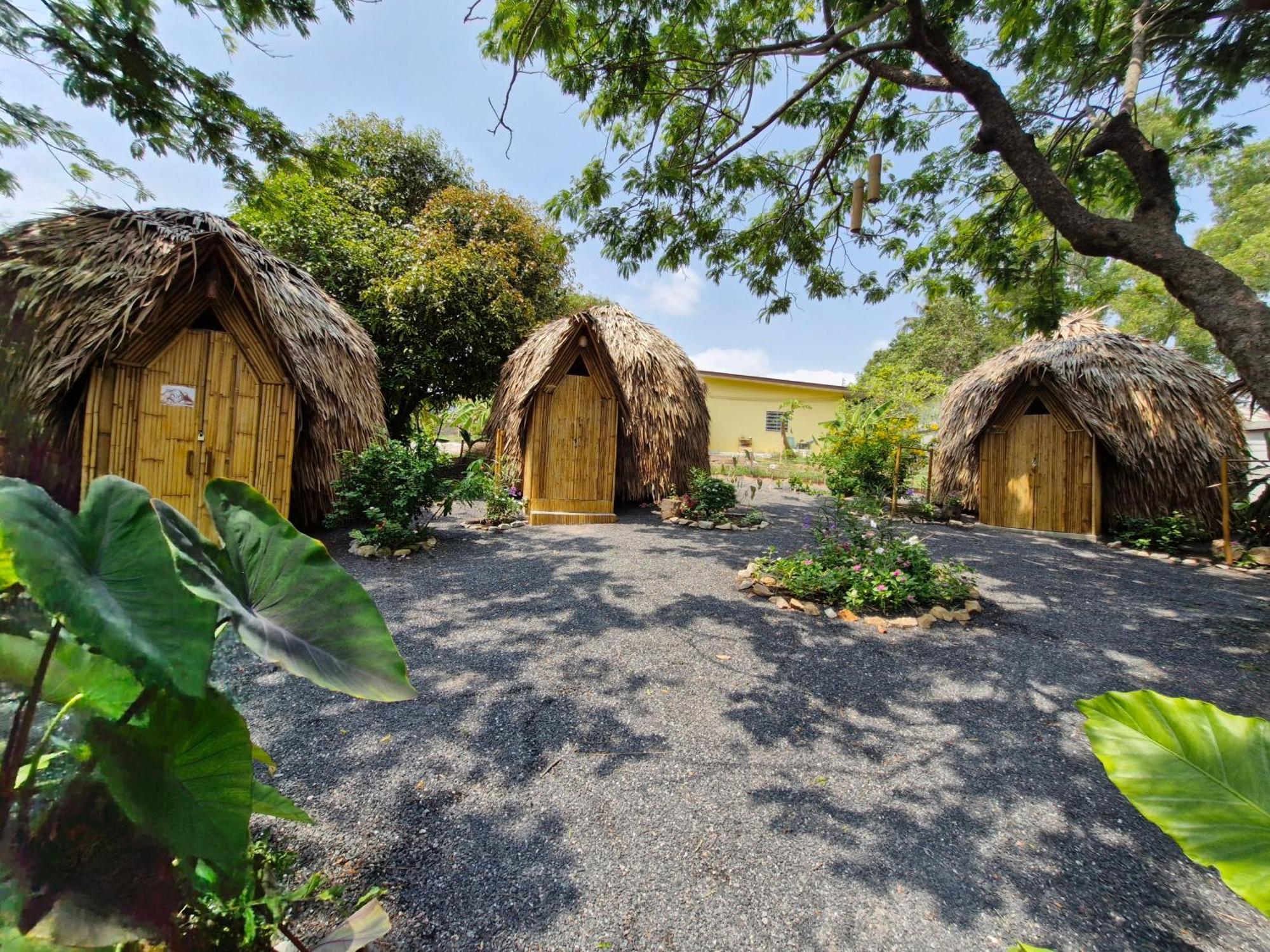 Samui Circus Studio & Ville - Dome Bungalow 3 Nathoni-öböl Kültér fotó